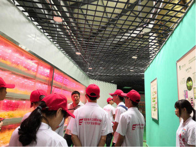 心系三農，讓農業插上科技的翅膀——網絡工程賦能現代農業發展